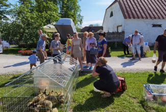 Atla-Moisa-Puhapaevalaat-13