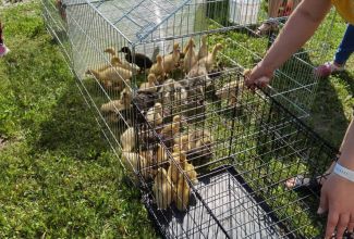 Atla-Moisa-Puhapaevalaat-15