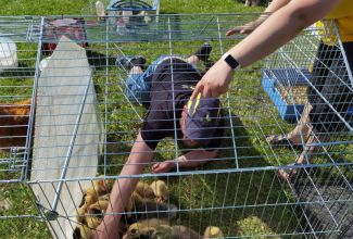 Atla-Moisa-Puhapaevalaat-18