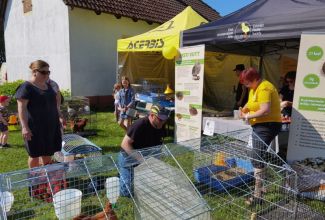 Atla-Moisa-Puhapaevalaat-19