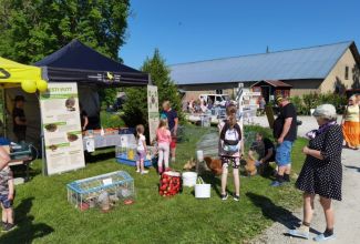 Atla-Moisa-Puhapaevalaat-21