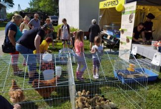 Atla-Moisa-Puhapaevalaat-22