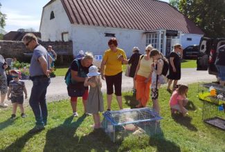 Atla-Moisa-Puhapaevalaat-23