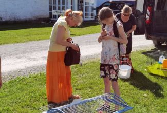 Atla-Moisa-Puhapaevalaat-28