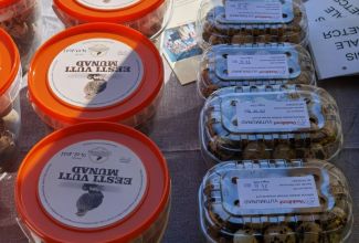 Atla-Moisa-Puhapaevalaat-30