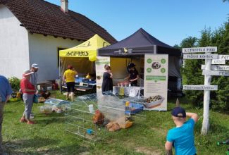 Atla-Moisa-Puhapaevalaat-33