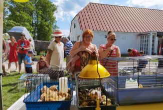 Atla-Moisa-Puhapaevalaat-38