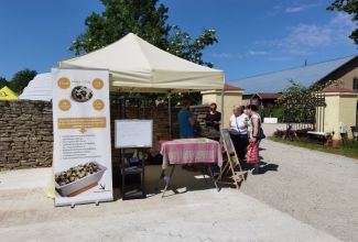 Atla-Moisa-Puhapaevalaat-39