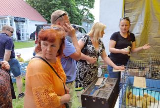 Atla-Moisa-Puhapaevalaat-49