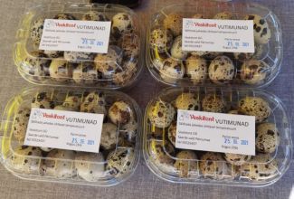 Atla-Moisa-Puhapaevalaat-5