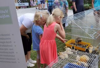 Atla-Moisa-Puhapaevalaat-51