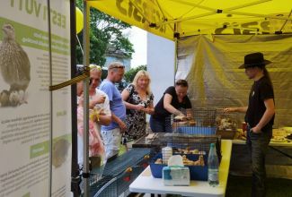 Atla-Moisa-Puhapaevalaat-53