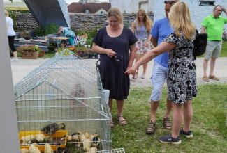 Atla-Moisa-Puhapaevalaat-56