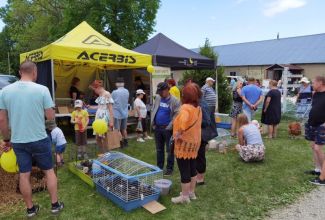 Atla-Moisa-Puhapaevalaat-57