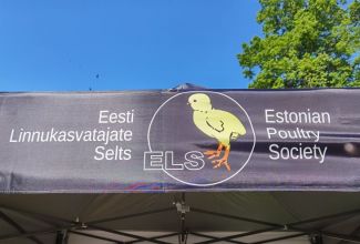 Atla-Moisa-Puhapaevalaat-6