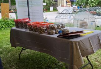 Atla-Moisa-Puhapaevalaat-60