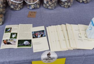 Atla-Moisa-Puhapaevalaat-63