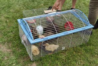 Atla-Moisa-Puhapaevalaat-64