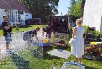 Atla-Moisa-Puhapaevalaat-7