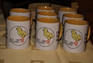 ELS nääripidu Laekveres