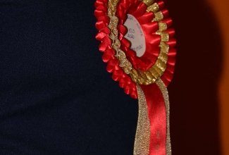 ELS nääripidu Laekveres