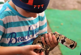 ELS suvepäevad Pivarootsi mõisas 2019