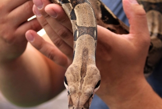 ELS suvepäevad Pivarootsi mõisas 2019