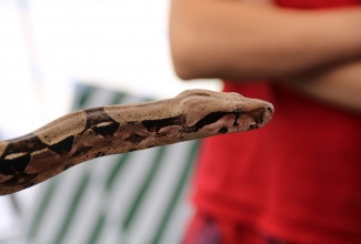 ELS suvepäevad Pivarootsi mõisas 2019