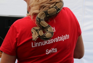 ELS suvepäevad Pivarootsi mõisas 2019