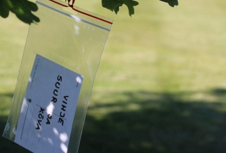 ELS suvepäevad Pivarootsi mõisas 2019