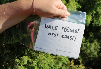 ELS suvepäevad Pivarootsi mõisas 2019