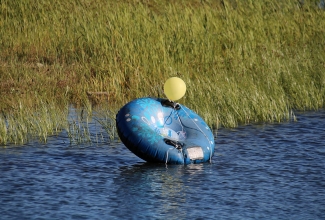 ELS suvepäevad Pivarootsi mõisas 2019