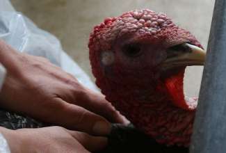 Hiiumaa-koolitus-26.04-13