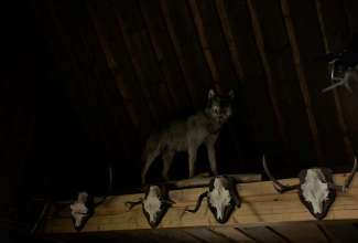 Hiiumaa-koolitus-26.04-14