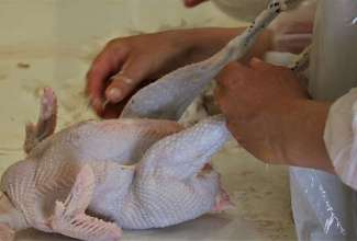 Hiiumaa-koolitus-26.04-2