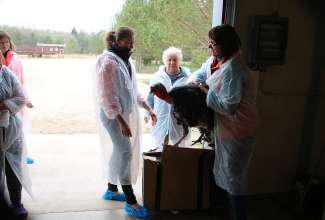 Hiiumaa-koolitus-26.04-9