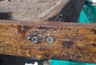 Kanalest, foto: http://www.poultrywizard.com/what-is-poultry-red-mite.asp