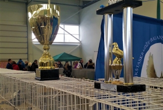 Kaunase küüliku- ja linnunäitus 2018