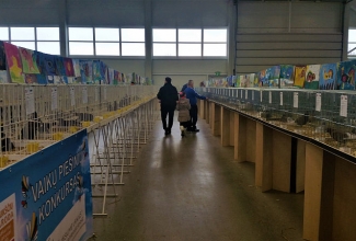 Kaunase küüliku- ja linnunäitus 2018