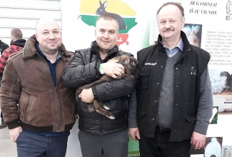 Kaunase küüliku- ja linnunäitus 2018