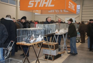 Kaunase kodulindude näitus 2020