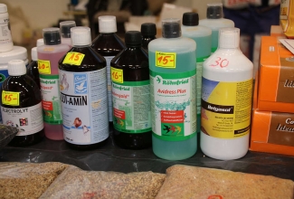 Kaunase kodulindude näitus 2020