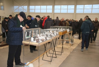 Kaunase kodulindude näitus 2020