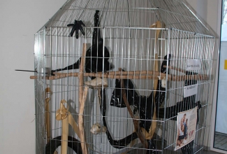 Kaunase kodulindude näitus 2020