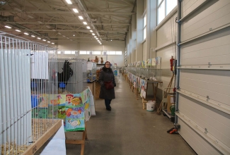 Kaunase kodulindude näitus 2020