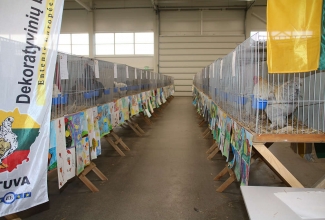 Kaunase kodulindude näitus 2020