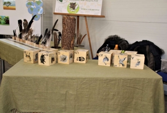 Kaunase kodulindude näitus 2020