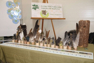 Kaunase kodulindude näitus 2020