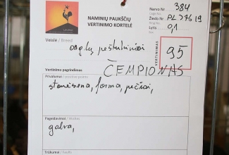 Kaunase kodulindude näitus 2020