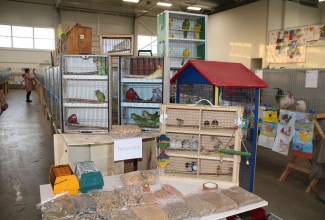 Kaunase kodulindude näitus 2020